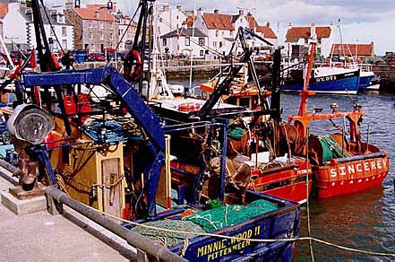 Fishing Boats In Pittenweem Harbour