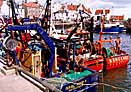 Fishing Boats In Pittenweem Harbour