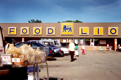 Food Lion is where she goes to get groceries.