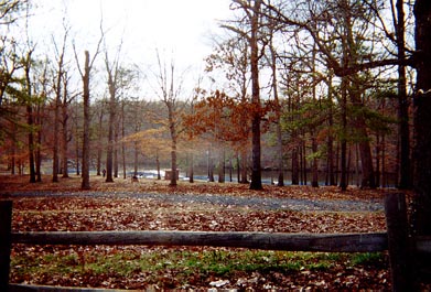 We take a walk through the woods as a family. I like to see the leaves changing colors.